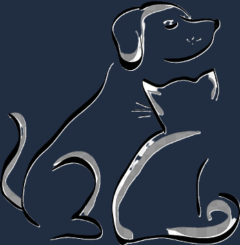 Animacare